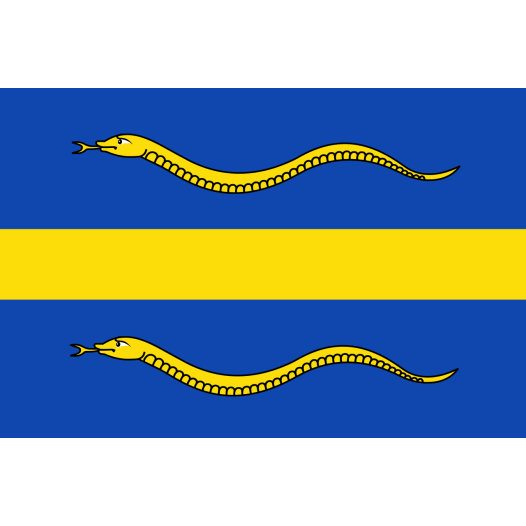Vlag Pijnacker-Nootdorp 70x100cm