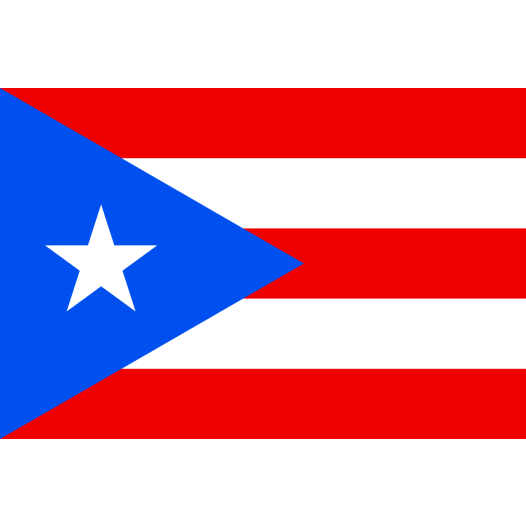 Vlag Puerto Rico 70x100cm