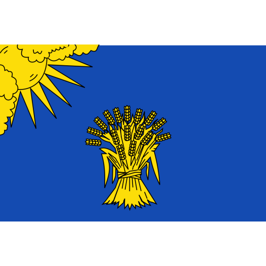 Vlag Reusel-De Mierden 70x100cm