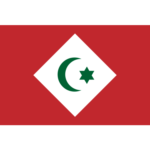 Vlag Rif Republiek 50x75cm