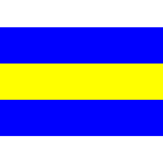Vlag Rijswijk 30x45cm