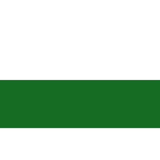 Vlag Saksen 150x225cm