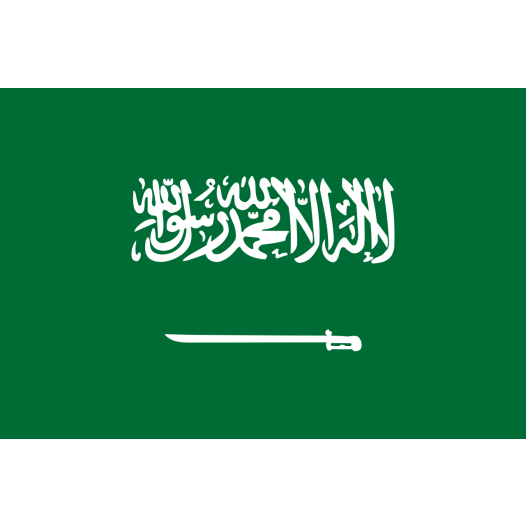 Vlag Saoedi-Arabië 70x100cm - Spunpoly