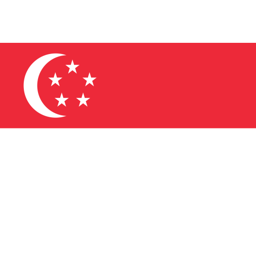 Vlag Singapore 30x45cm