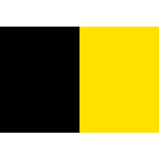 Vlag Sneek 150x225cm