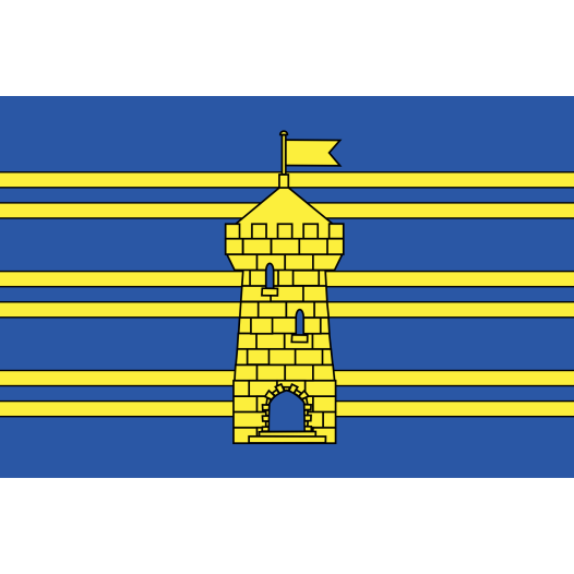 Vlag Territoire de Belfort 150x225cm