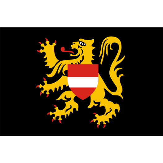 Vlag Vlaams-Brabant 200x300cm