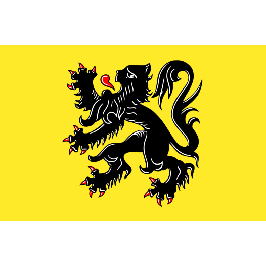 Vlag Vlaanderen 200x300cm