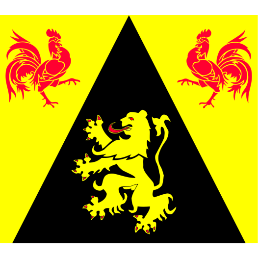 Vlag Waals Gewest 120x180cm
