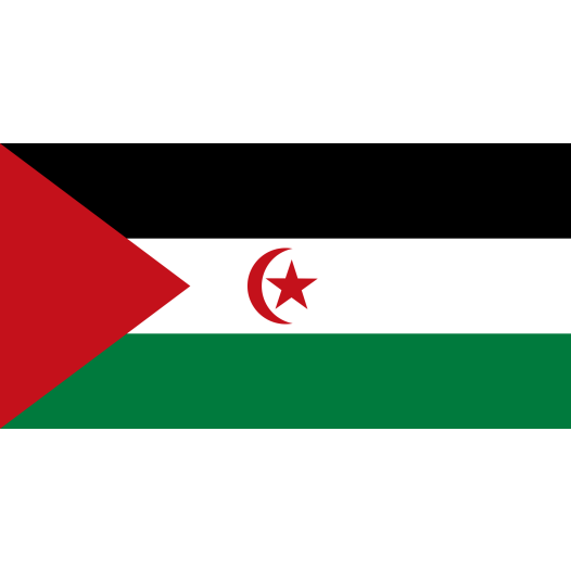 Vlag Westelijke Sahara 50x75cm