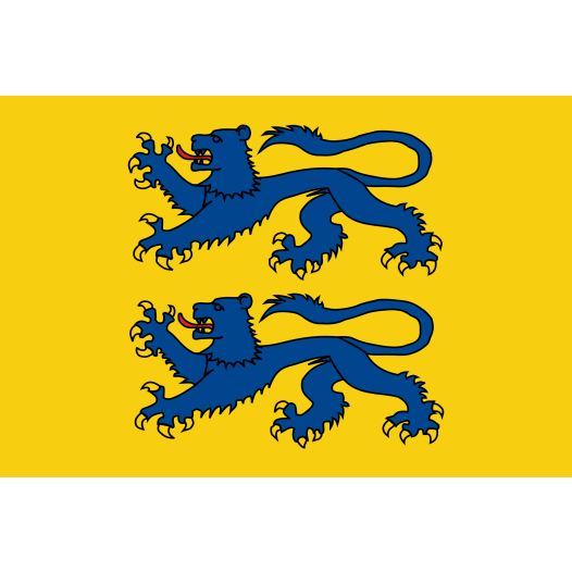 Vlag van Zuid-Sleeswijk 100x150cm