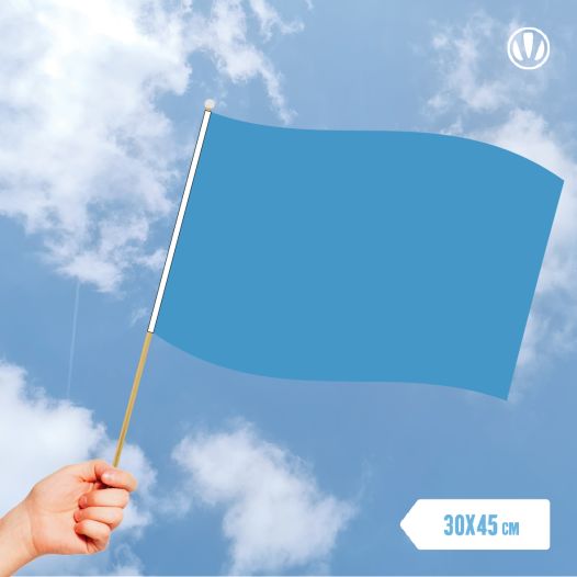 Lichtblauwe zwaaivlag 30x45cm