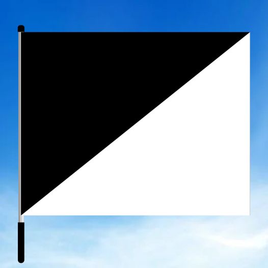 Zwart Witte vlag Formule 1 voor circuits