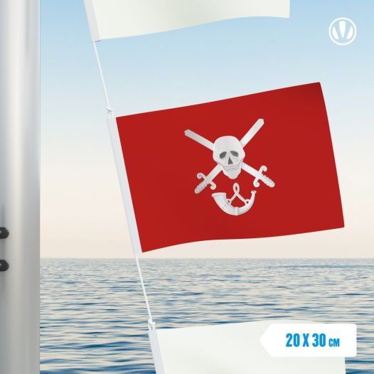 vlaggetje Aarlanderveen 20x30 cm