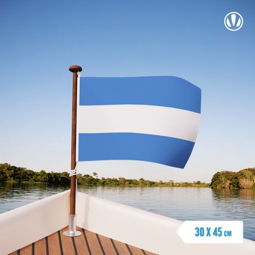 Vlag Argentinië 30x45cm