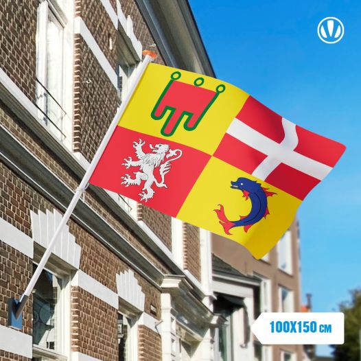 Vlag Auvergne 100x150cm