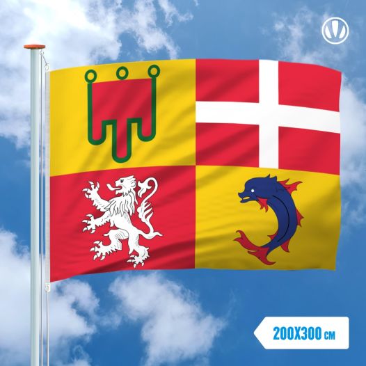 Vlag Auvergne 200x300cm
