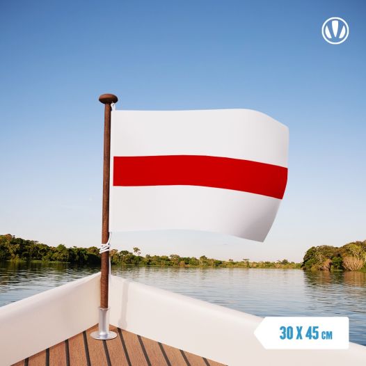 Vlag Belarus 30x45cm