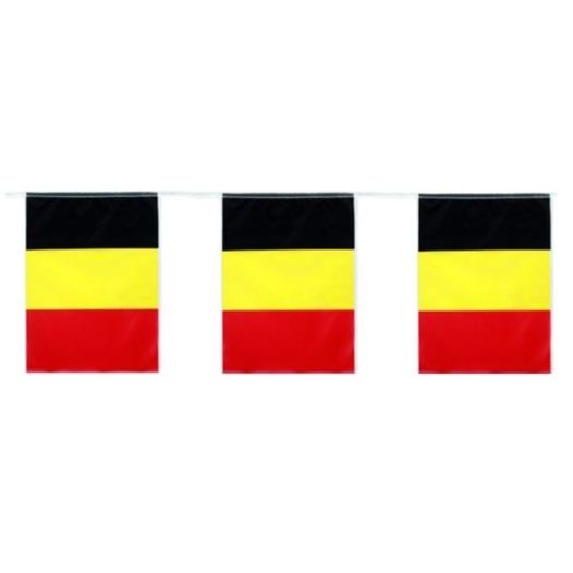 Vlaggenlijn Belgie - 5 meter | Plastic