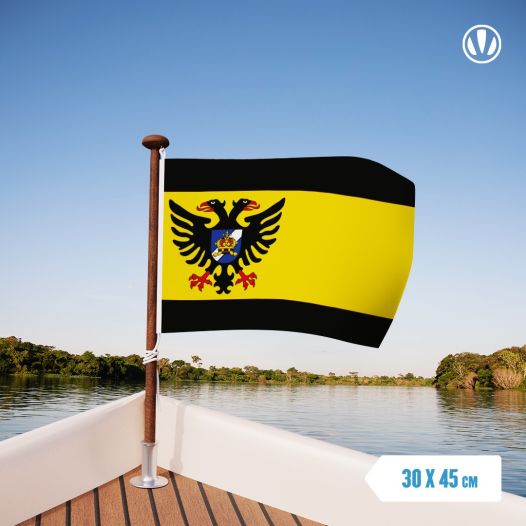 Vlag Bolsward 30x45cm