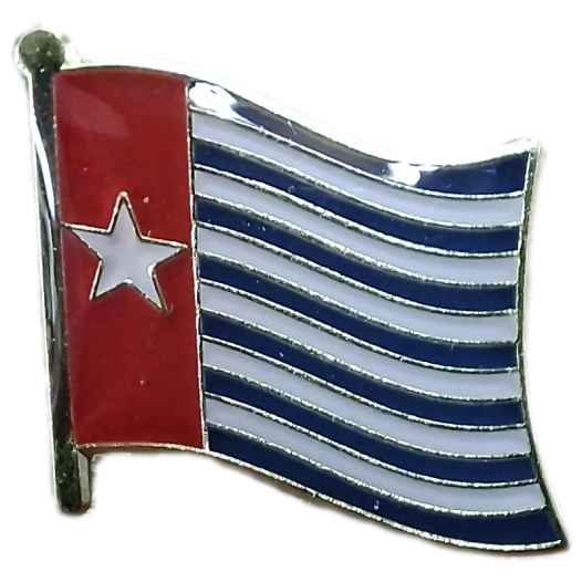 Broche / Speldje vlag Morgenster