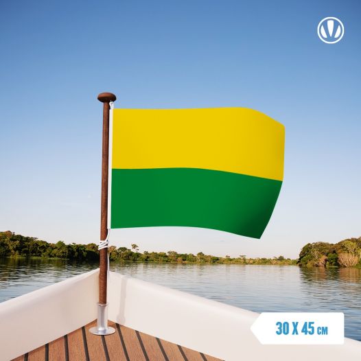 Vlag Den Haag 30x45cm