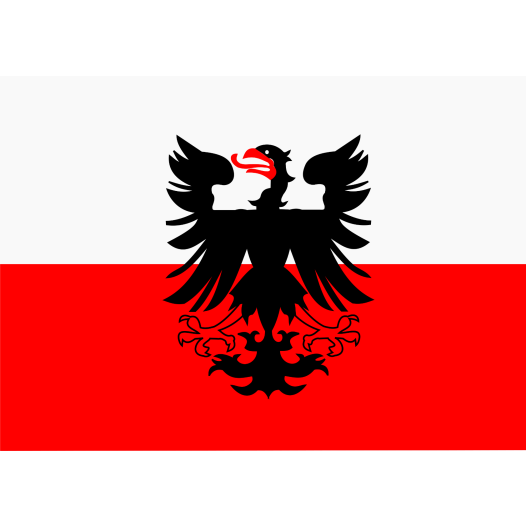 Vlag Deventer 120x180cm