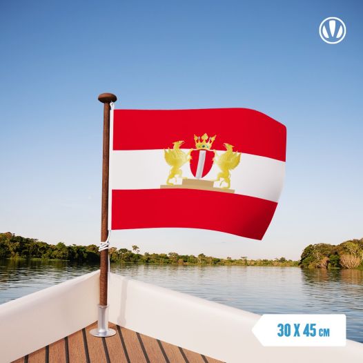 Vlag Dordrecht met wapen 30x45cm