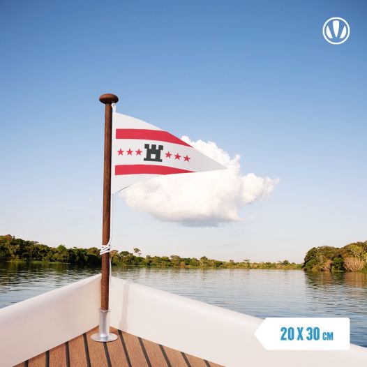Puntvlaggetje Drenthe 20x30cmcm Drentse wimpel puntvlag