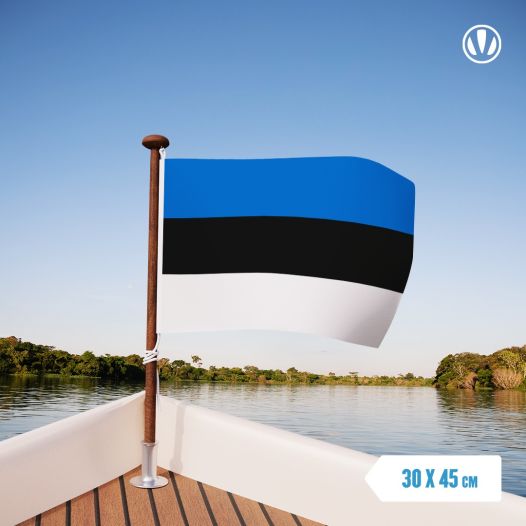 Estlandse vlag | vlaggen Estland 30x45cm gastenvlag
