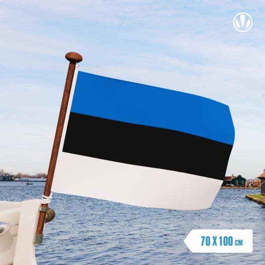 vlag Estland 70x100 cm
