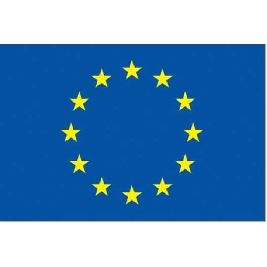 Vlag Europese Unie 100x150cm - Glanspoly