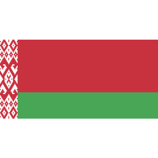 Vlag Wit Rusland - Officieel 50x75cm
