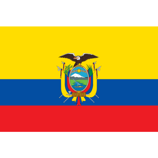 Vlag Ecuador 30x45cm