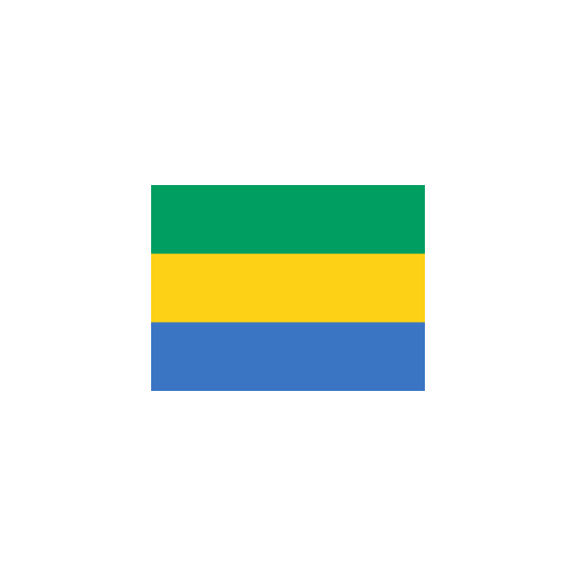 vlag Gabon 30x45cm