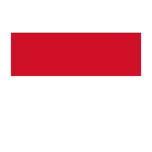 Vlag Indonesië 60x90cm | Beste Value