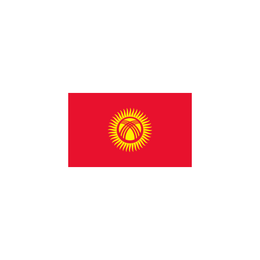 Voormalige vlag Kirgizië 200x300cm - Spunpoly