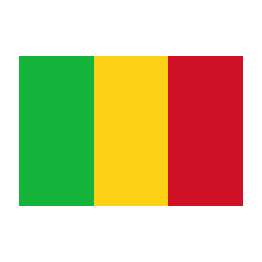 Vlag Mali 30x45cm