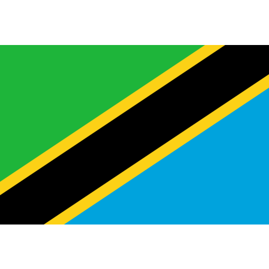 vlag Tanzania 70x100cm