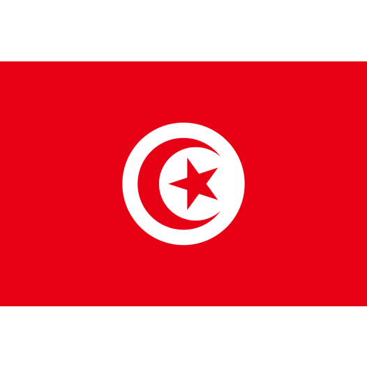 Vlag Tunesië 50x75cm - Spunpoly