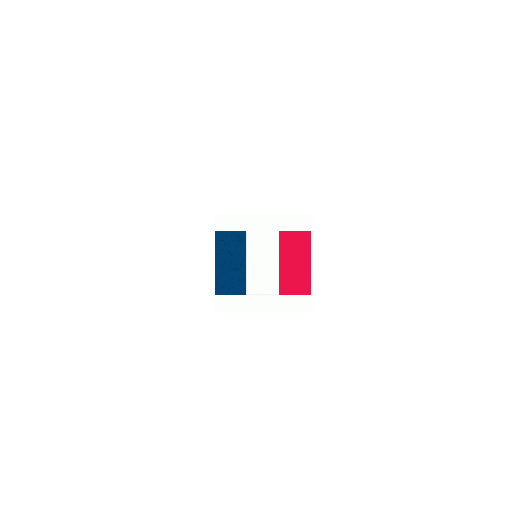 Zwaaivlag Frankrijk 15x22,5cm | stof