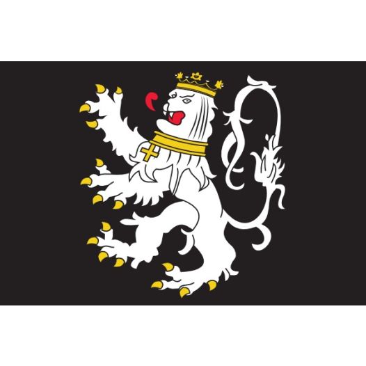 Vlag Gent 20x30cm
