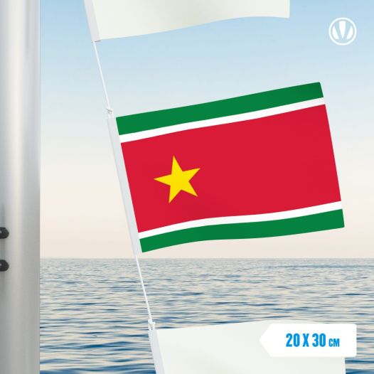 Vlaggetje Guadeloupe Union 20x30cm