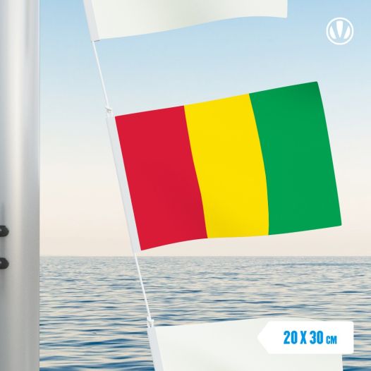 Vlaggetje Guinee 20x30cm