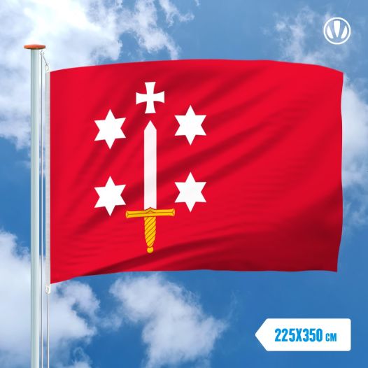 Vlag Haarlem 225x350cm