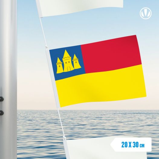 vlag Haastrecht 20x30cm