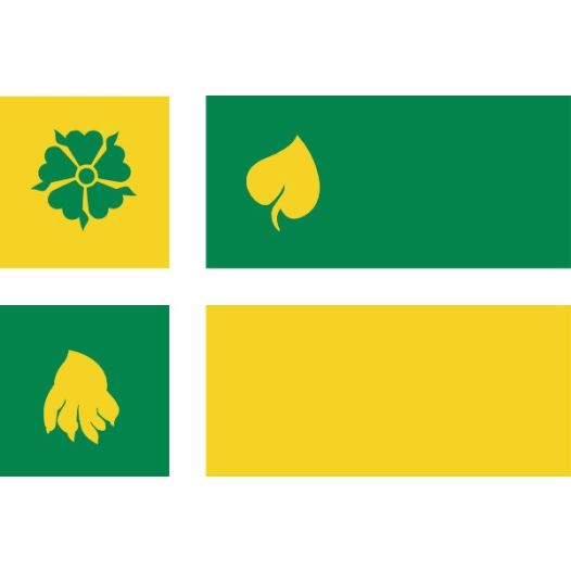 Vlag Hof van Twente 30x45cm