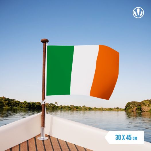 Ierse vlag 30x45cm