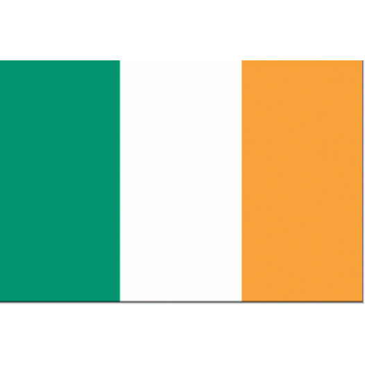 Ierse vlag 70x100cm - Spunpoly