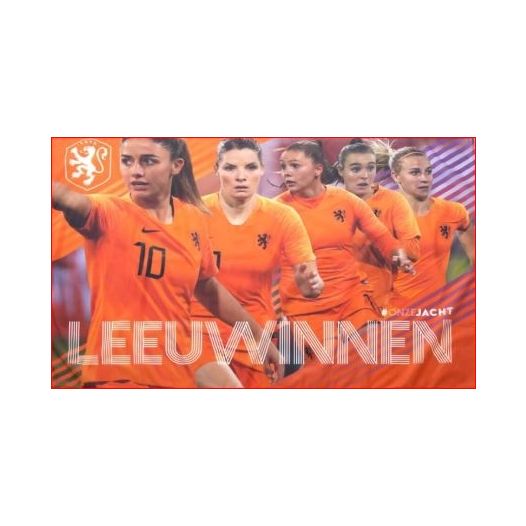 Leeuwinnen vlag 50x65cm  UITVERKOCHT